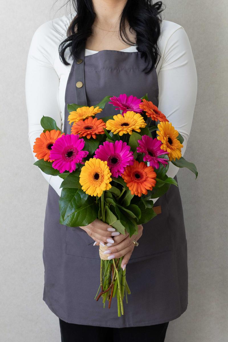 Rainbow of Mini Gerberas